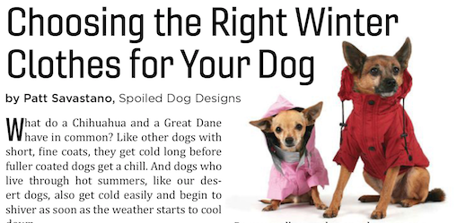 Choosing the Right Winter Clothes for your Dog - SpoiledDogDesigns.com