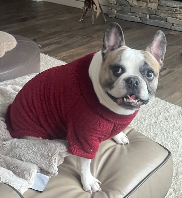 princess polly baby blue dress Soft Plush Pullover Burgundy – SpoiledDogDesigns.com