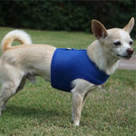Air Mesh Dog Vest Harness - 8 Colors - SpoiledDogDesigns.com