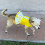 Yellow Air Mesh Ruffled Dog Vest Harness - SpoiledDogDesigns.com