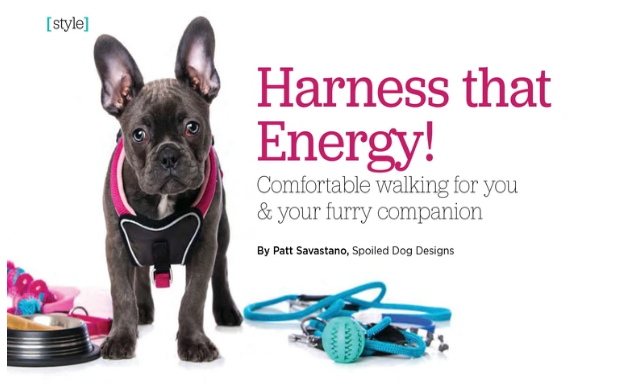 Harness that Energy! - SpoiledDogDesigns.com