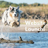 I Need a New website! A WEBSITE LAUNCH ANNOUNCEMENT.