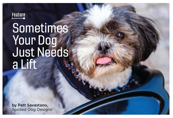 Sometimes Your Dog Just Needs A Lift - SpoiledDogDesigns.com