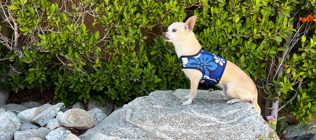 Blue Hawaiian Print Mesh Dog Vest Harness with Velcro wrap.