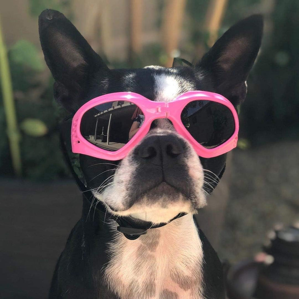 pet goggles Doggles DGILSM04 Small Shiny Blue ILS Dog Sunglasses