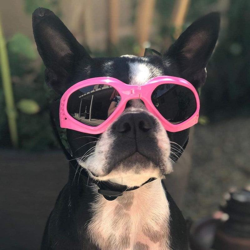 goggles for dogs Dog Sunglasses – SpoiledDogDesigns.com