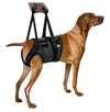 Dog Brace for Hip and Knee Injuries Adjustable