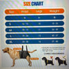 Dog Brace for Hip and Knee Injuries Adjustable