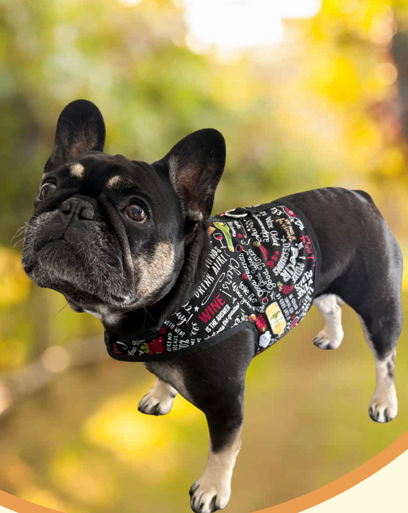 Wine Bottle Print Dog Vest Harness