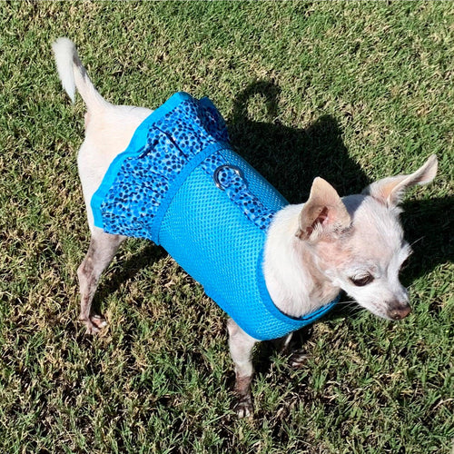 Aqua Air Mesh Ruffled Dog Vest Harness - SpoiledDogDesigns.com