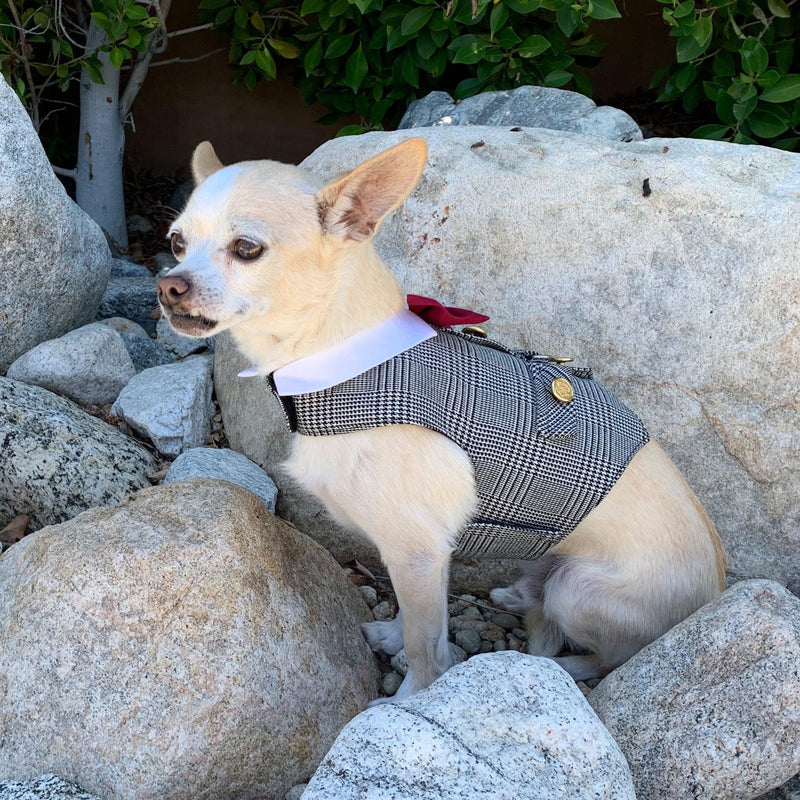 Black & White Glen Plaid Dog Vest With Built In Harness - SpoiledDogDesigns.com