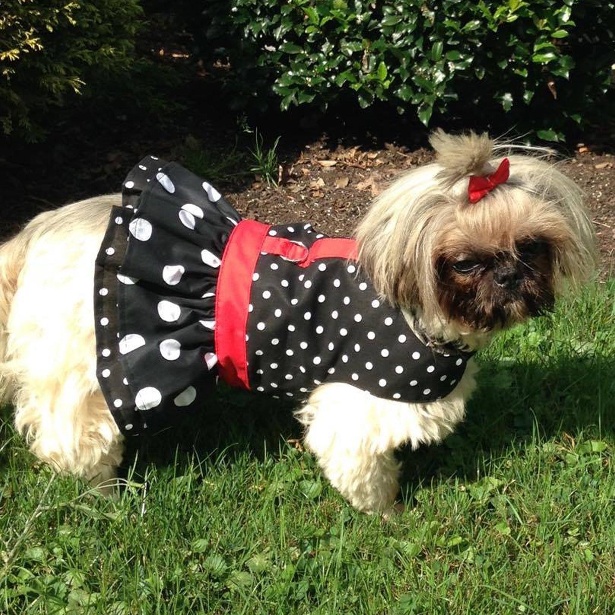 Black Polka Dot Ruffled Dog Vest Harness XS Black Polka Dot Ruffled Dog Vest Harness XS