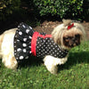 Black Polka Dot Ruffled Dog Vest Harness - SpoiledDogDesigns.com