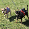 Black Polka Dot Ruffled Dog Vest Harness - SpoiledDogDesigns.com