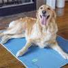 Cool Dog Pad - It's Waterless!