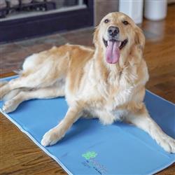 Cool Dog Pad - It's Waterless!