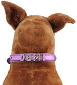 Customized Metallic Dog Cat Name Collar With Bling Letters - SpoiledDogDesigns.com
