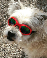 Dog Sunglasses by Doggles - SpoiledDogDesigns.com