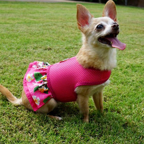 Fuchsia Hawaiian Ruffled Dog Harness - SpoiledDogDesigns.com