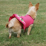 Fuchsia Hawaiian Ruffled Dog Harness - SpoiledDogDesigns.com