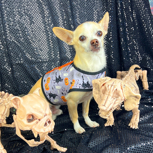 Halloween Witches Dog Vest Harness - SpoiledDogDesigns.com