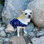 Hanukkah Boy Dog's Vest With Built In Harness - SpoiledDogDesigns.com