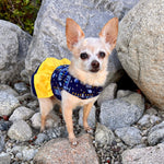 Hanukkah Ruffled Dog Vest Harness - SpoiledDogDesigns.com