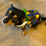 Happy Birthday Boy Dog's Vest With Built In Harness - SpoiledDogDesigns.com