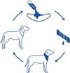 Ice Band Dog Cooling Collars - SpoiledDogDesigns.com
