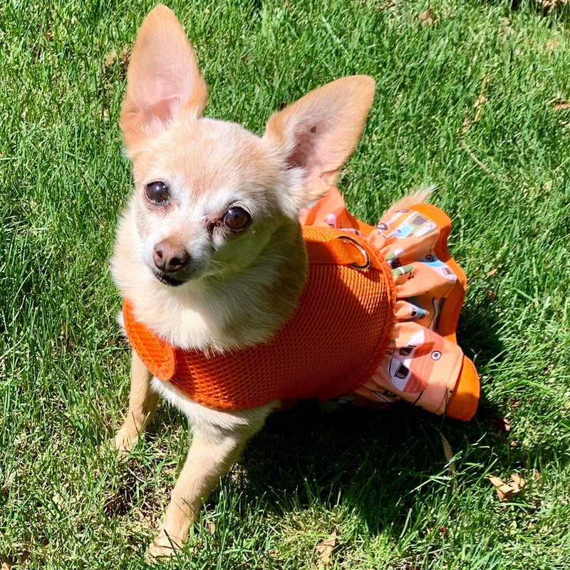 Orange Mid Century Camper Print Ruffled Dog Vest Harness - SpoiledDogDesigns.com