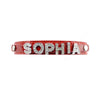 Personalized Custom Dog Cat Name Collar - SpoiledDogDesigns.com