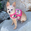 Pink Hawaiian Print Dog Vest Harness - SpoiledDogDesigns.com