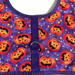 Purple Jack O'Lantern Halloween Dog Vest Harness - Medium only