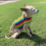 Rainbow Stripe Pride Dog Vest Harness - SpoiledDogDesigns.com