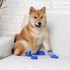 Red or Blue Rubberized Waterproof Dog Pet Socks - SpoiledDogDesigns.com
