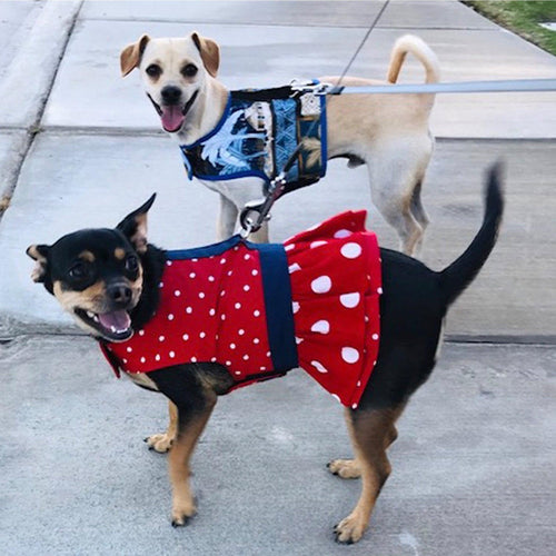 Red Polka Dot Ruffled Dog Vest Harness - SpoiledDogDesigns.com