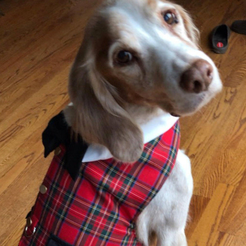 Red Tartan Plaid Boy Dog's Vest With Built In Harness - SpoiledDogDesigns.com