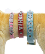 Slide and Hanging Charms for Personalized Pet Dog Collars - SpoiledDogDesigns.com