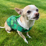 St. Patrick's Day Shamrock Boy's Vest Harness, XSmall - SpoiledDogDesigns.com