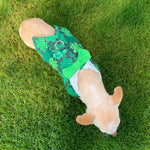 St. Patrick's Day Shamrock Boy's Vest Harness, XSmall - SpoiledDogDesigns.com