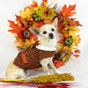 Thanksgiving Boy Dog's Vest With Built In Harness - SpoiledDogDesigns.com