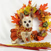 Thanksgiving Ruffled Dog Vest Harness - SpoiledDogDesigns.com