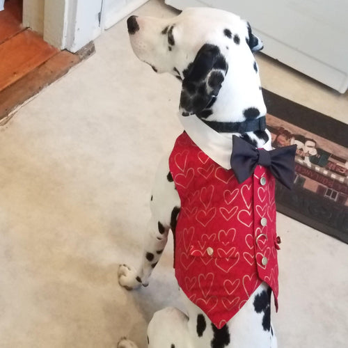Valentine Dog Vest With Built In Harness - Size Large - SpoiledDogDesigns.com