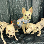 Halloween Witches Ruffled Dog Vest Harness