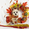Thanksgiving Ruffled Dog Vest Harness